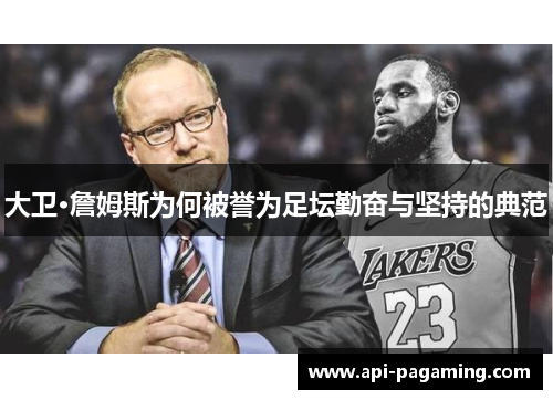 大卫·詹姆斯为何被誉为足坛勤奋与坚持的典范