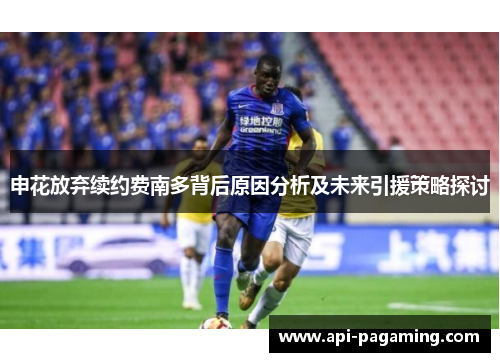 申花放弃续约费南多背后原因分析及未来引援策略探讨