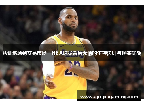 从训练场到交易市场：NBA球员背后无情的生存法则与现实挑战
