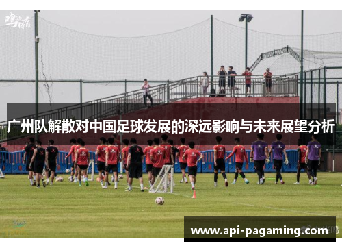 广州队解散对中国足球发展的深远影响与未来展望分析