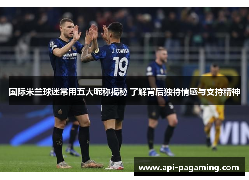 国际米兰球迷常用五大昵称揭秘 了解背后独特情感与支持精神