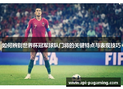 如何辨别世界杯冠军球队门将的关键特点与表现技巧