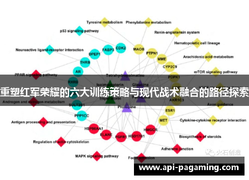 重塑红军荣耀的六大训练策略与现代战术融合的路径探索