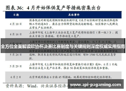 全方位全面解读欧协杯决赛比赛制度与关键规则深度权威实用指南