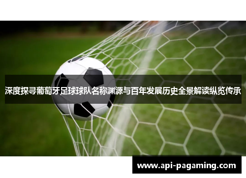 深度探寻葡萄牙足球球队名称渊源与百年发展历史全景解读纵览传承