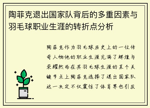 陶菲克退出国家队背后的多重因素与羽毛球职业生涯的转折点分析
