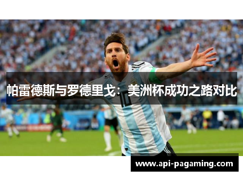 帕雷德斯与罗德里戈：美洲杯成功之路对比