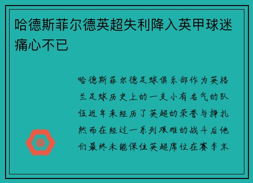 哈德斯菲尔德英超失利降入英甲球迷痛心不已